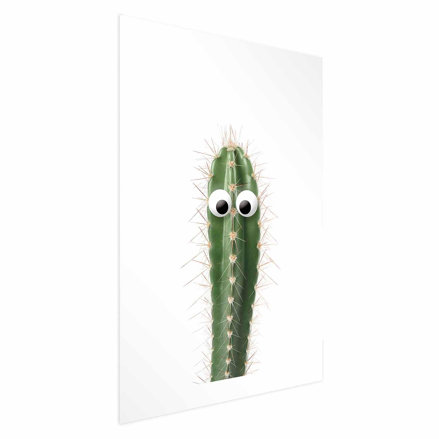 Living Cactus Nature Poster