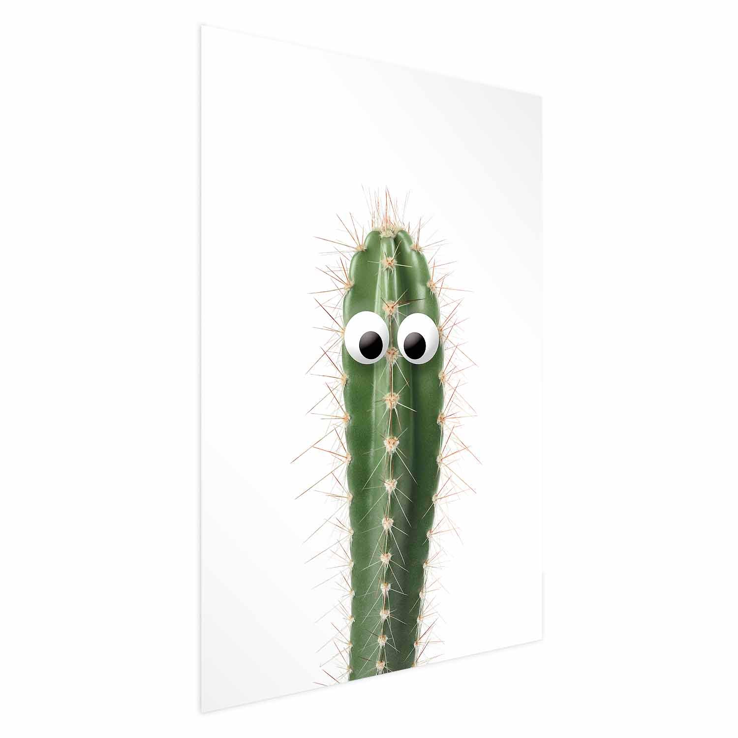 Living Cactus Nature Poster