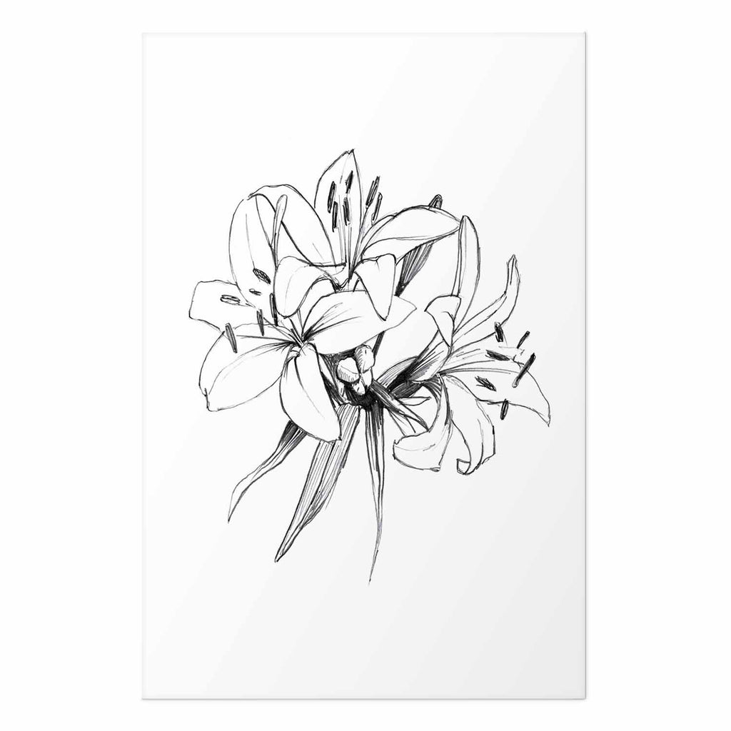 Drawn Flowers Floral Poster