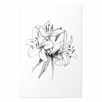 Drawn Flowers Floral Poster