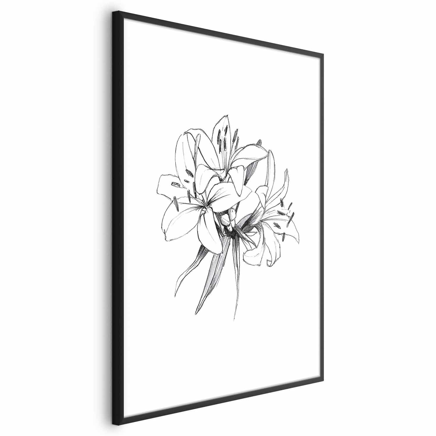 Drawn Flowers Floral Poster