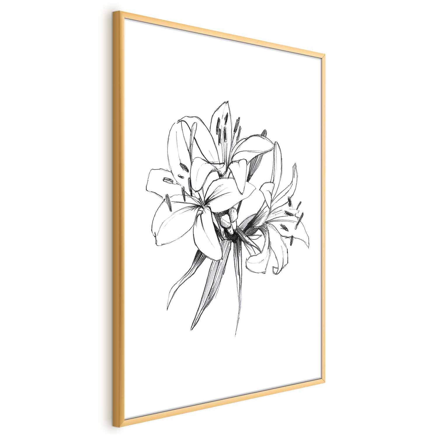 Drawn Flowers Floral Poster
