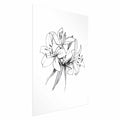 Drawn Flowers Floral Poster
