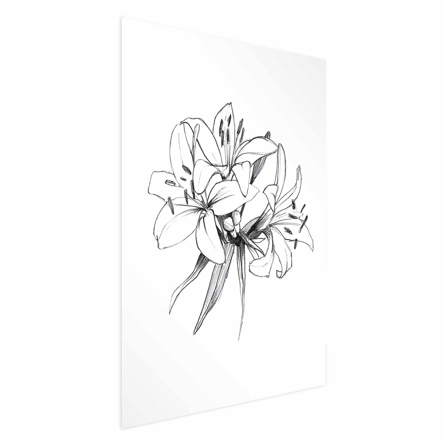 Drawn Flowers Floral Poster