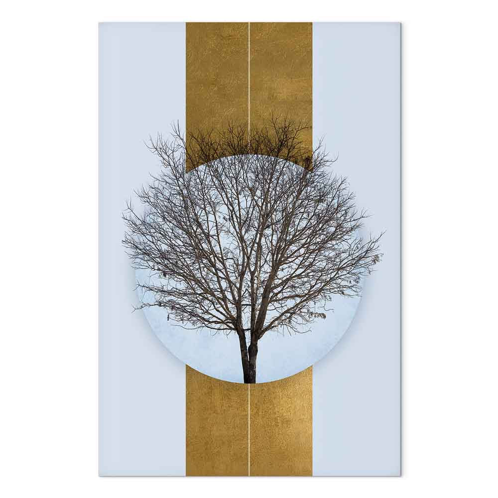Circular Tree Branches Abstract Nature Canvas Print