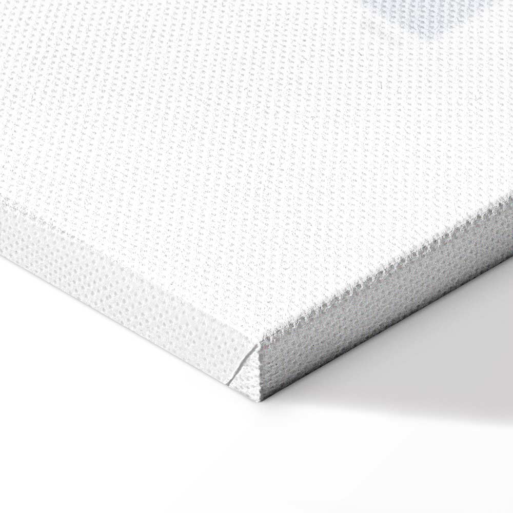 Ginger Root Botanical Food Canvas Print