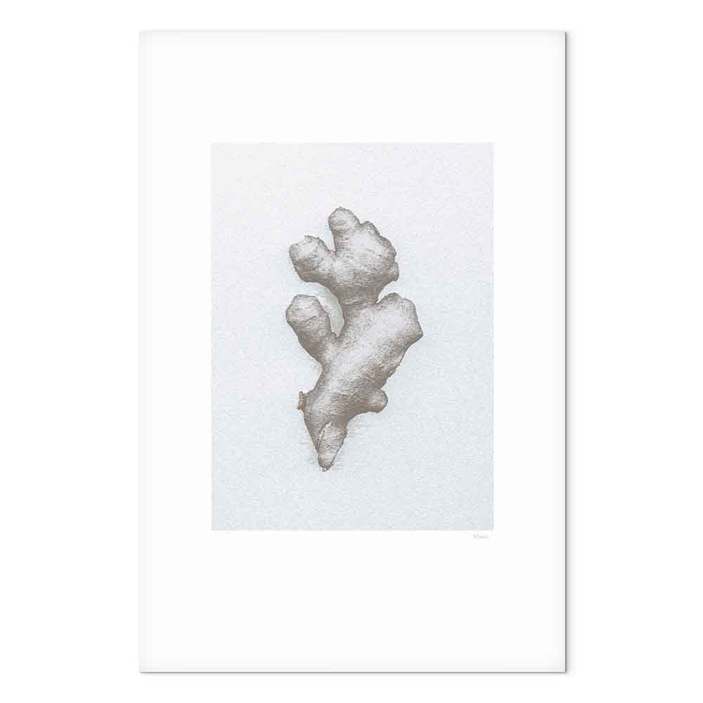 Ginger Root Botanical Food Canvas Print