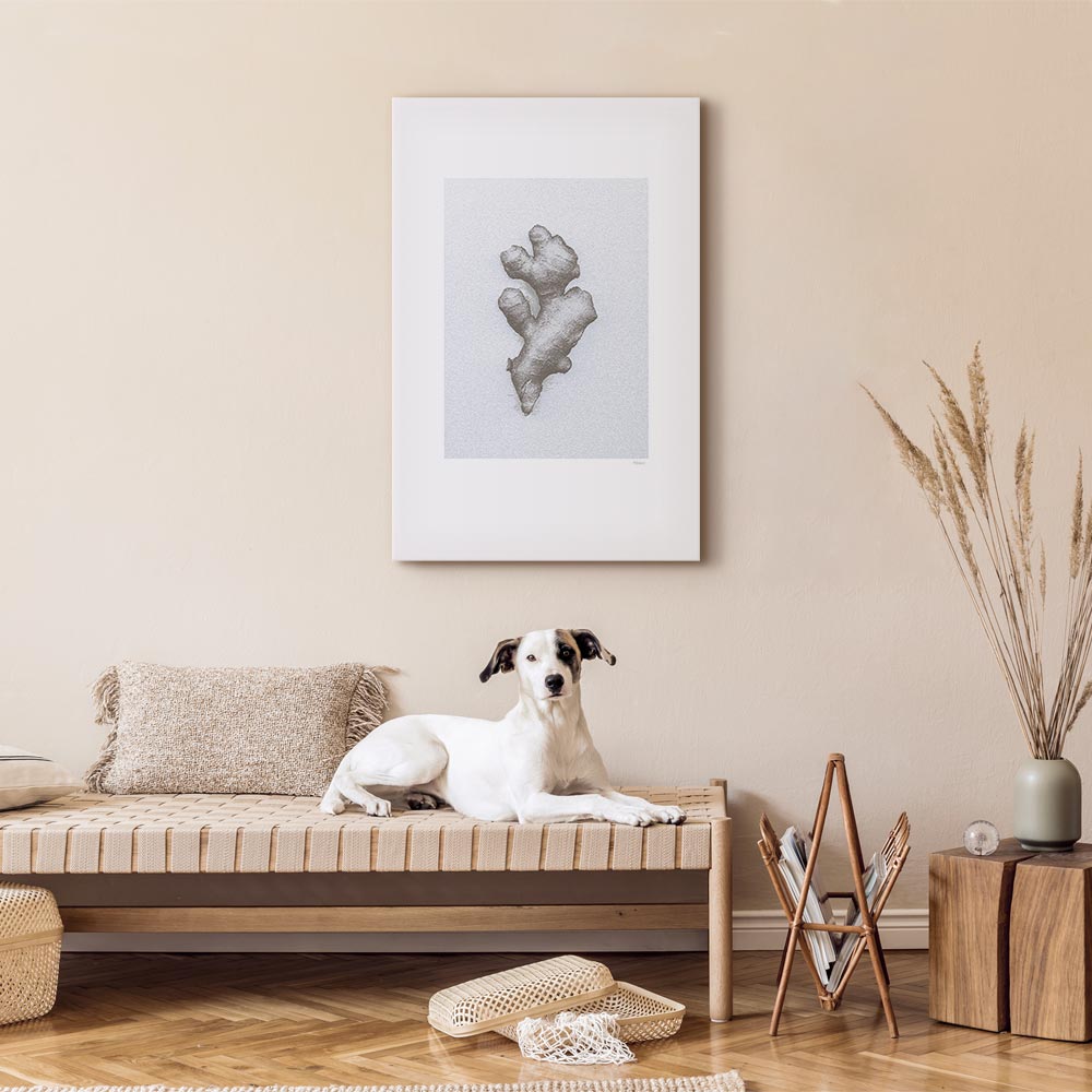 Ginger Root Botanical Food Canvas Print