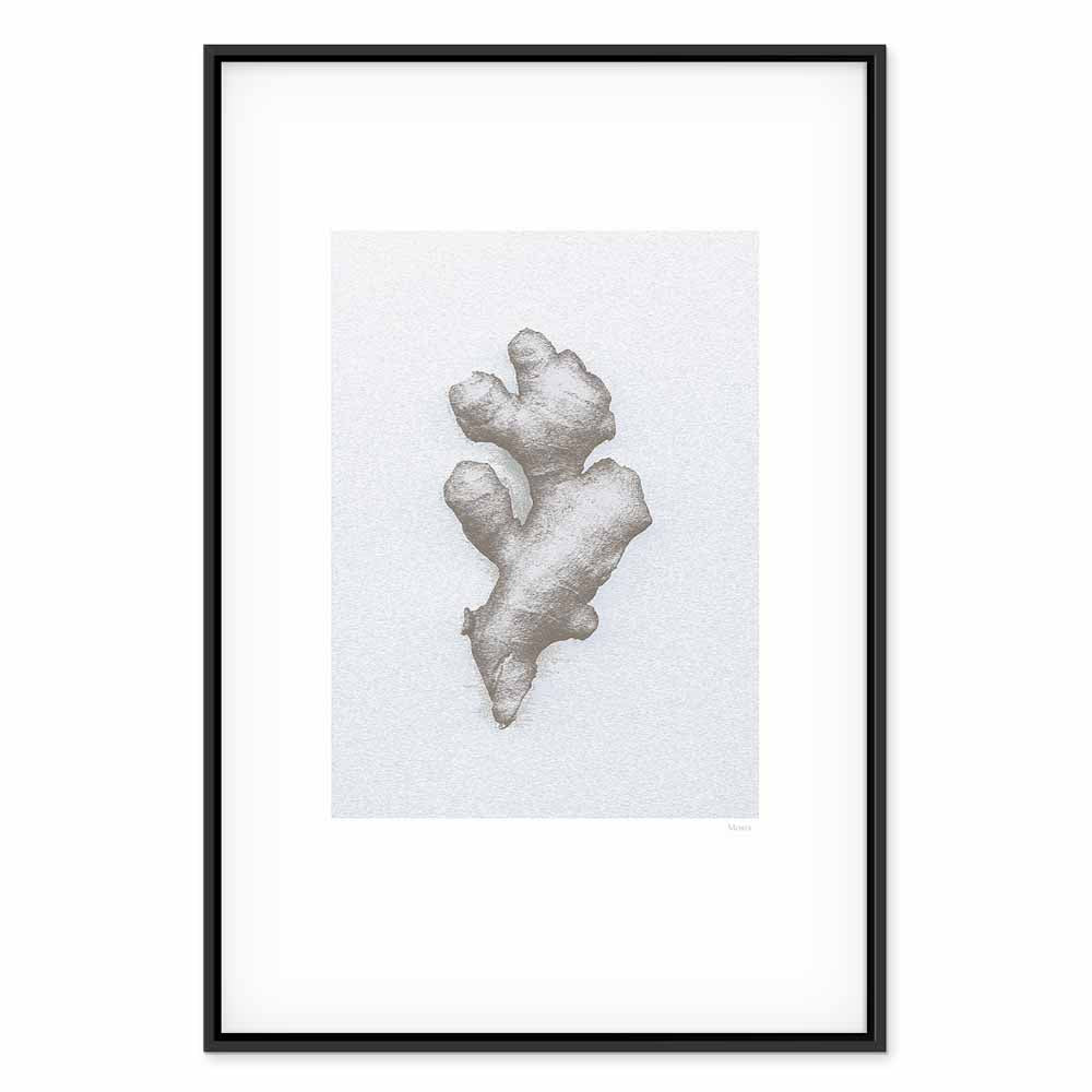 Ginger Root Botanical Food Canvas Print