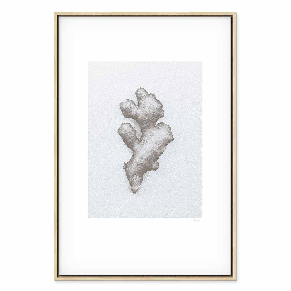 Ginger Root Botanical Food Canvas Print