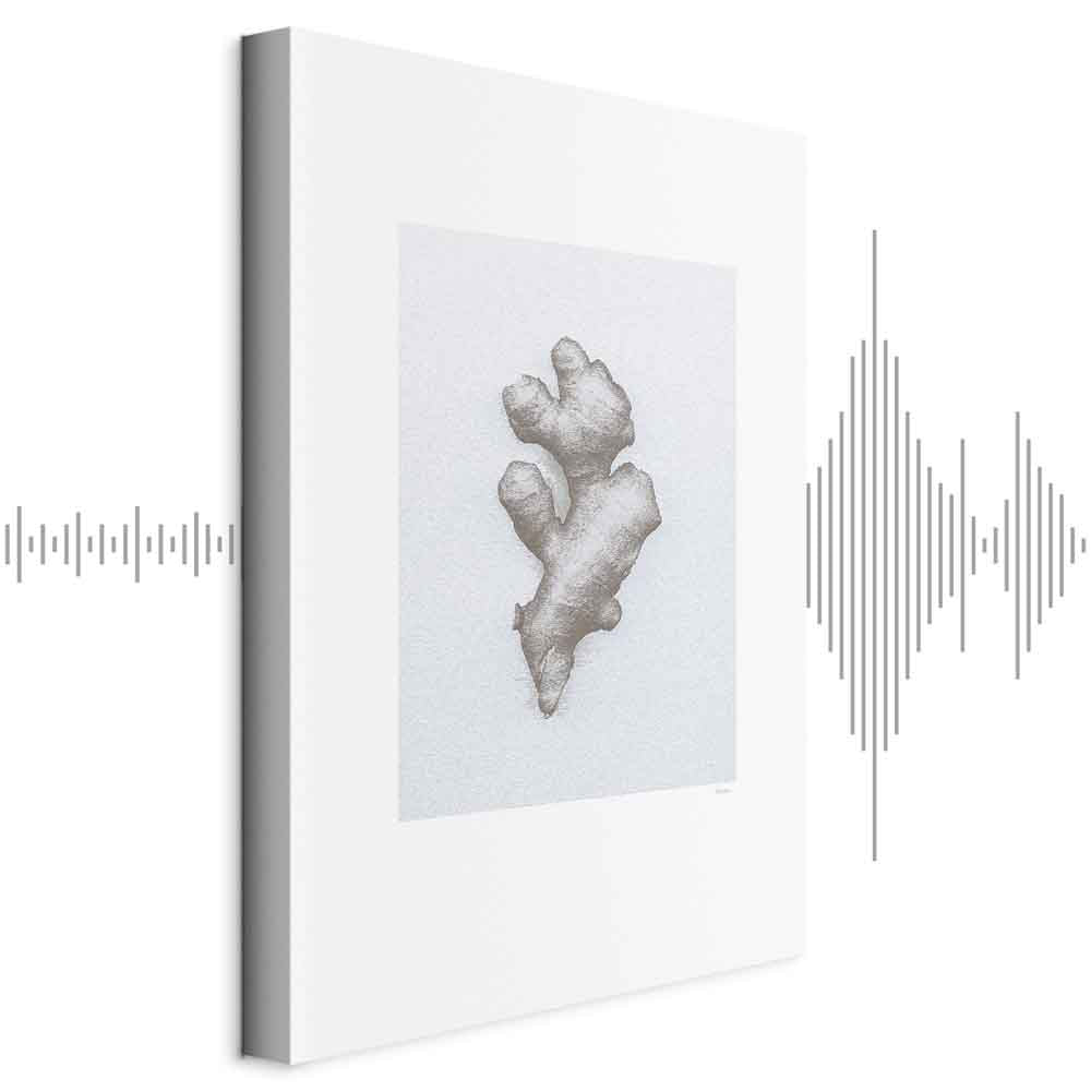 Ginger Root Botanical Food Canvas Print