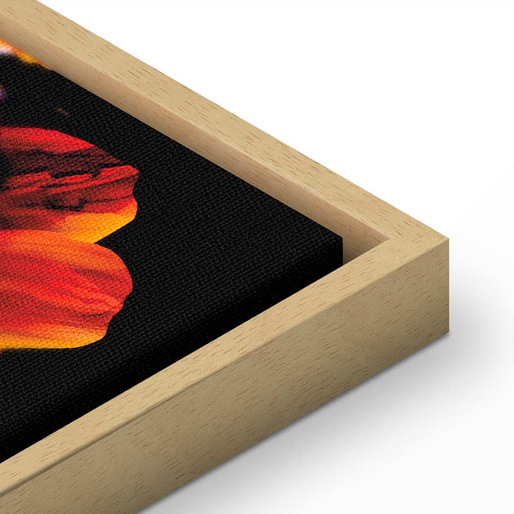 Summer Flower Garden Multicolor Canvas Print