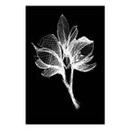Night Flower Floral Canvas Print