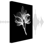 Night Flower Floral Canvas Print