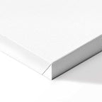 White Monstera Leaf Minimalist Canvas Print