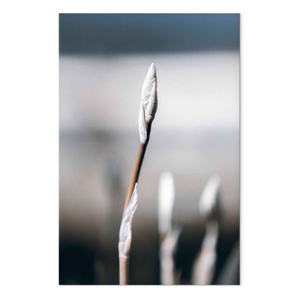 Botanical Minimalist Vertical Canvas Print
