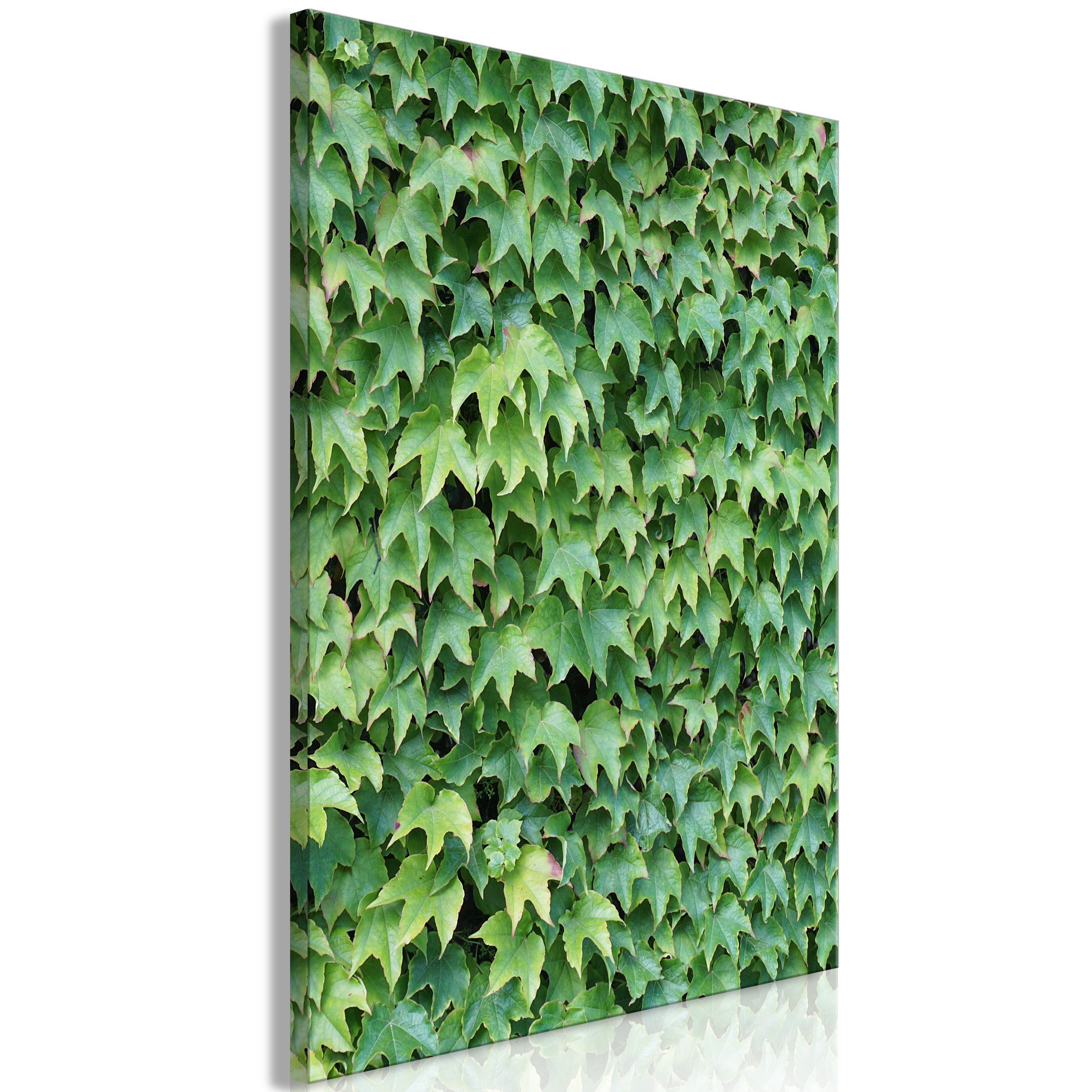 Stylish Canvas Prints with Natural Green Ivy