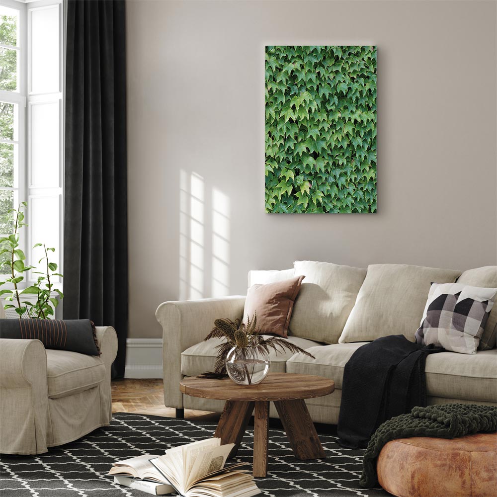 Thick Ivy Green Leaves Canvas Print