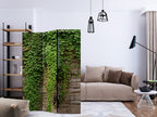 Ivy Leaves Green 3-Panel Room Divider