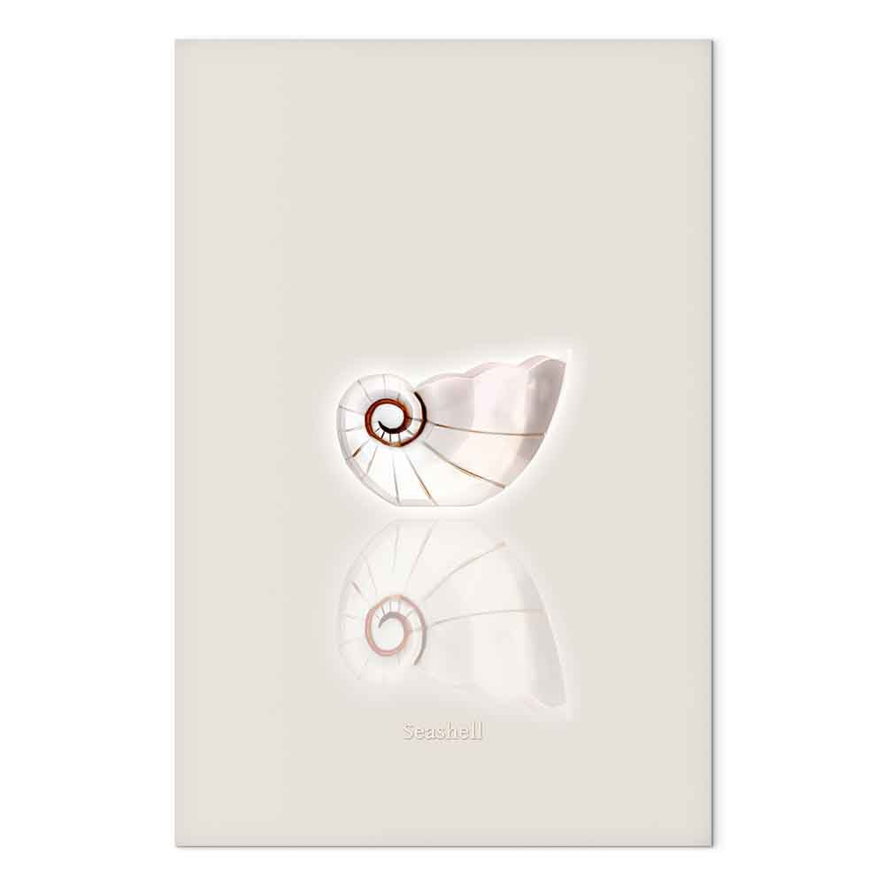 Ceramic Shell Abstract Sea Canvas Print