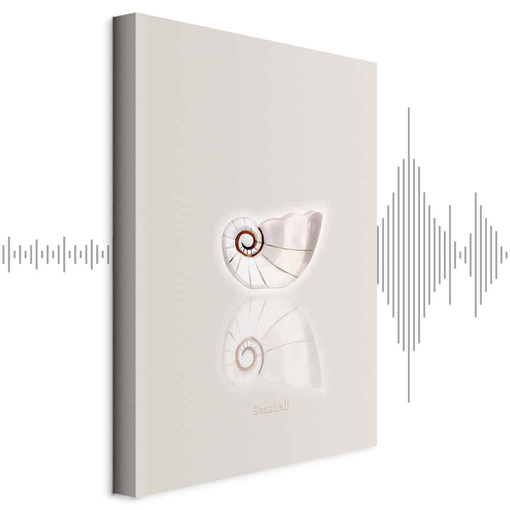 Ceramic Shell Abstract Sea Canvas Print