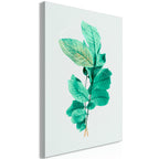 Stylish Canvas Print of Mint Grace Design