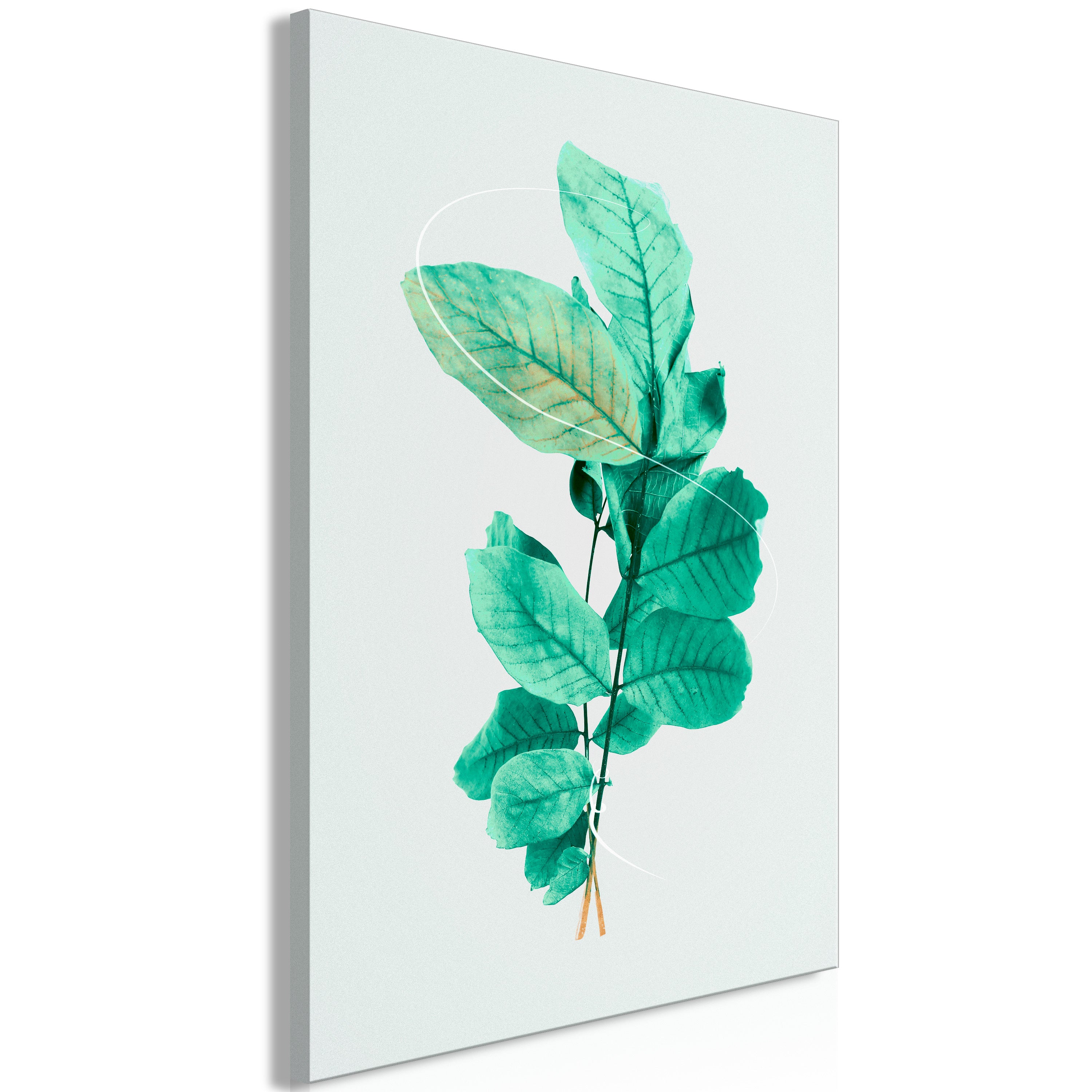 Stylish Canvas Print of Mint Grace Design
