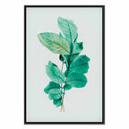 Mint Leaf Botanical Canvas Print