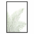Velvet Green Leaf Texture Canvas Print