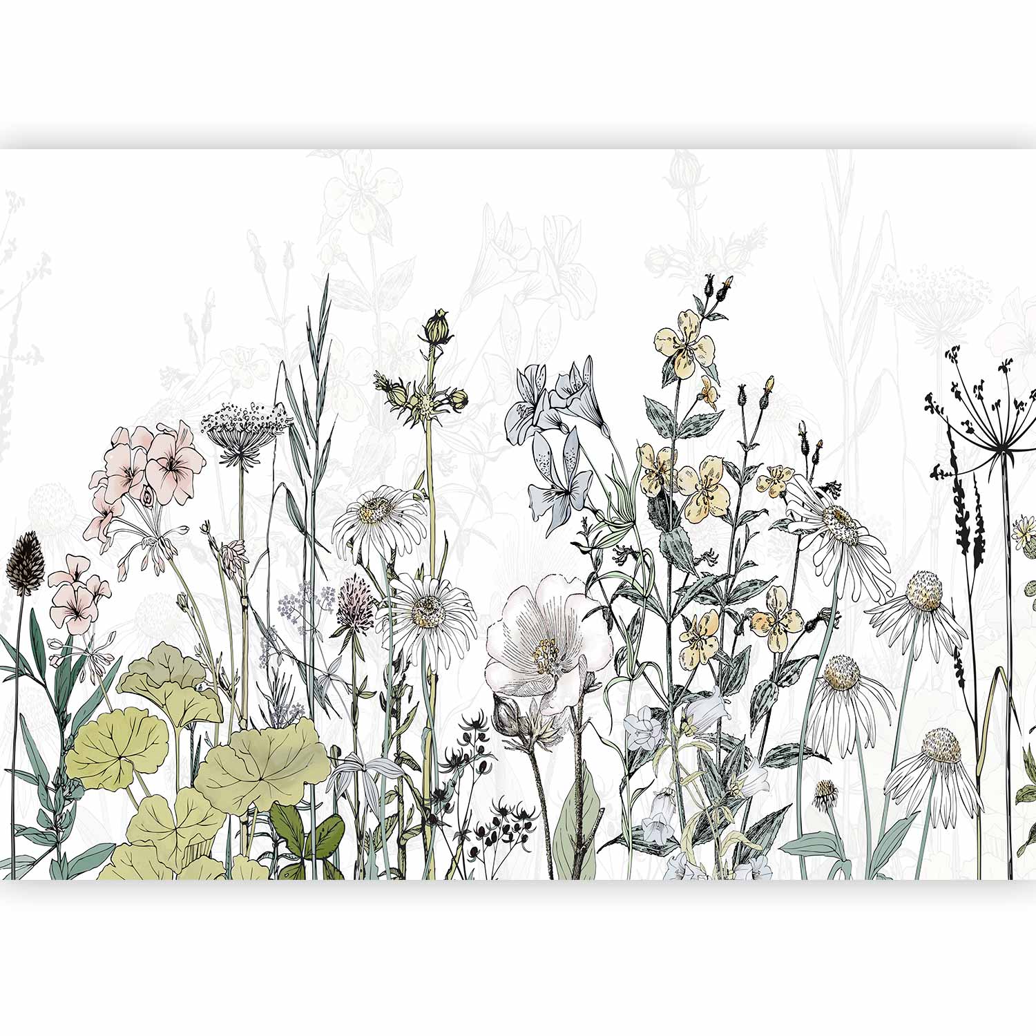 Colorful Meadow Flowers Wall Mural