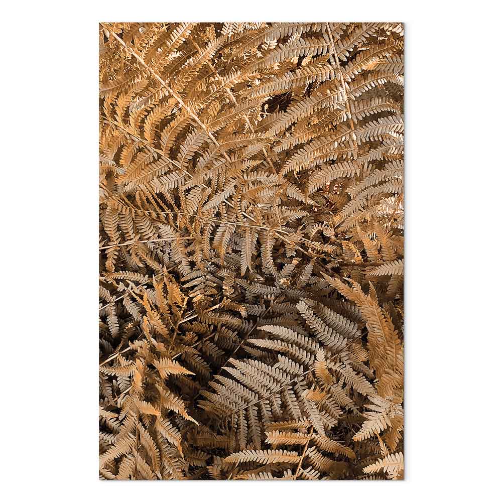 Mysterious Fern Nature Canvas Print
