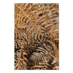 Mysterious Fern Nature Canvas Print