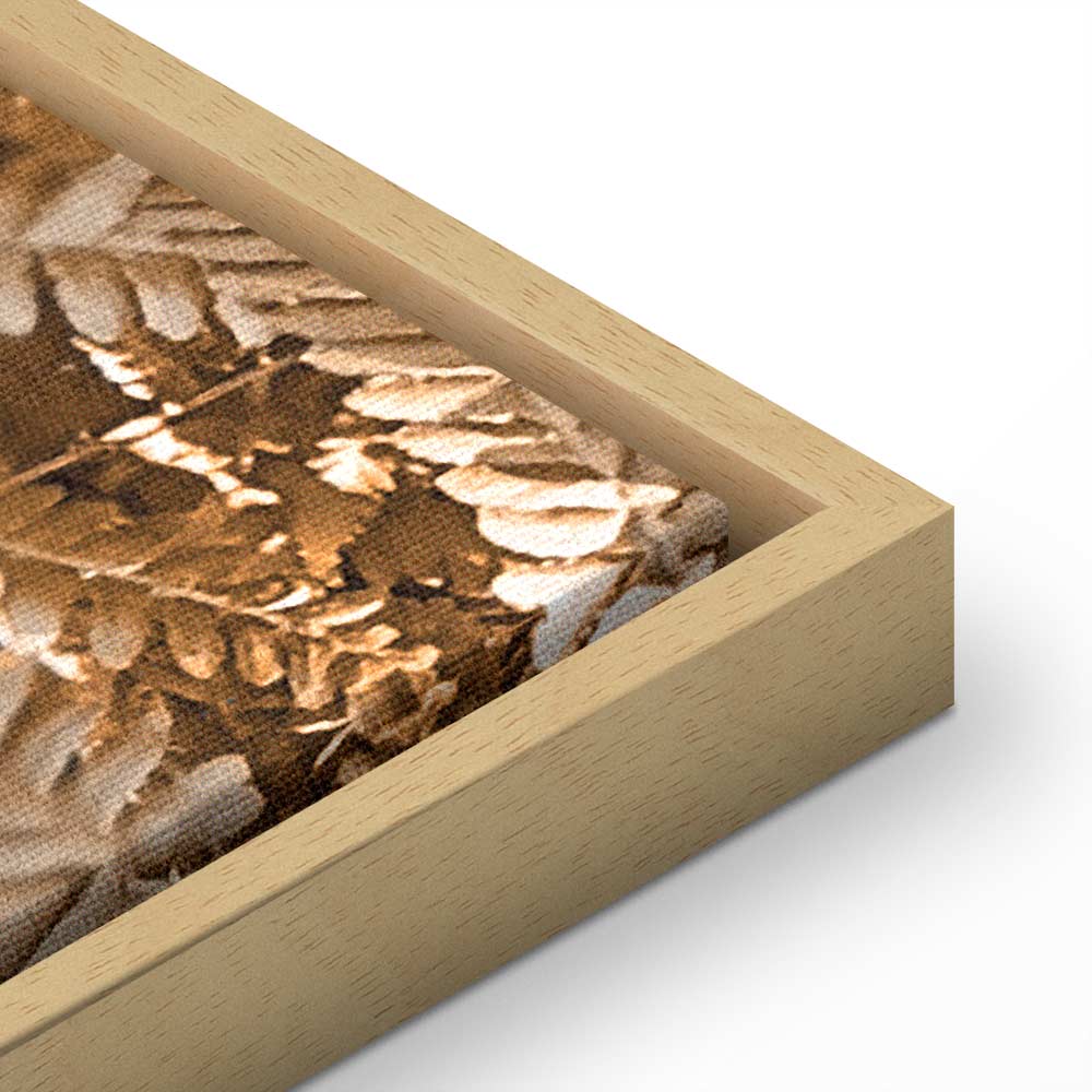 Mysterious Fern Nature Canvas Print