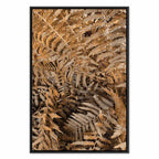 Mysterious Fern Nature Canvas Print