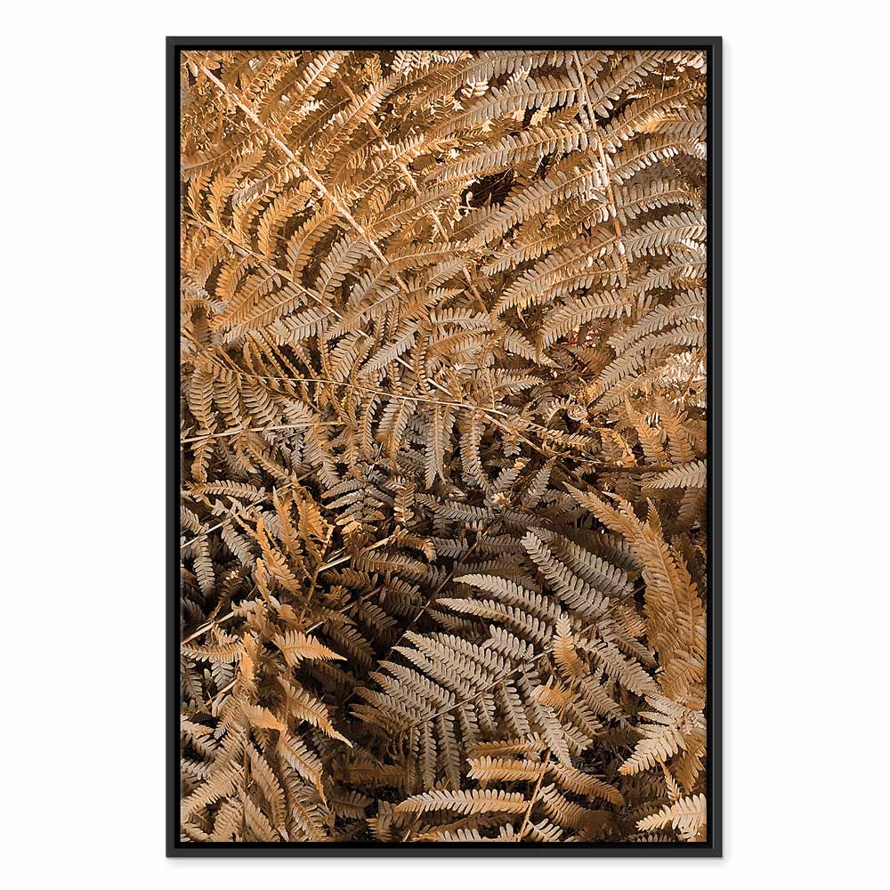 Mysterious Fern Nature Canvas Print