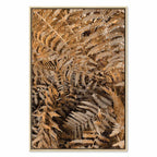 Mysterious Fern Nature Canvas Print