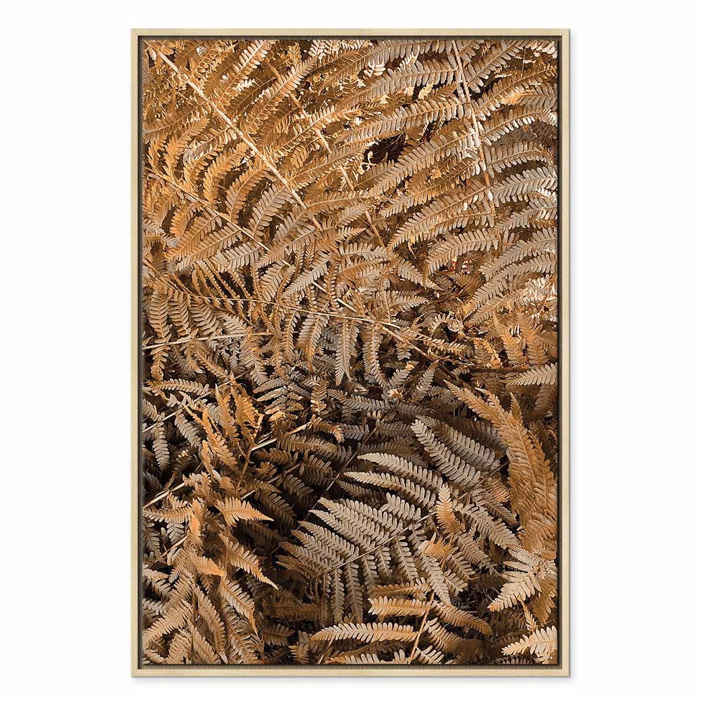 Mysterious Fern Nature Canvas Print