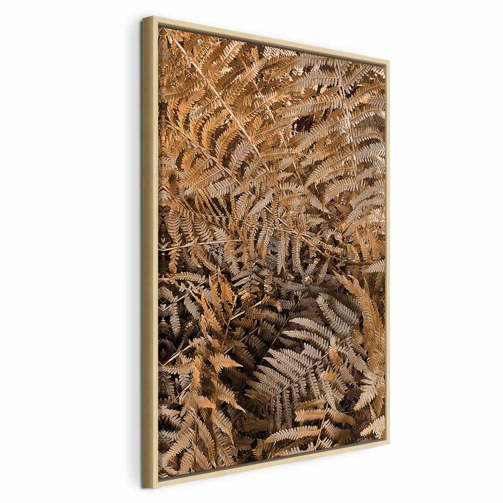 Mysterious Fern Nature Canvas Print