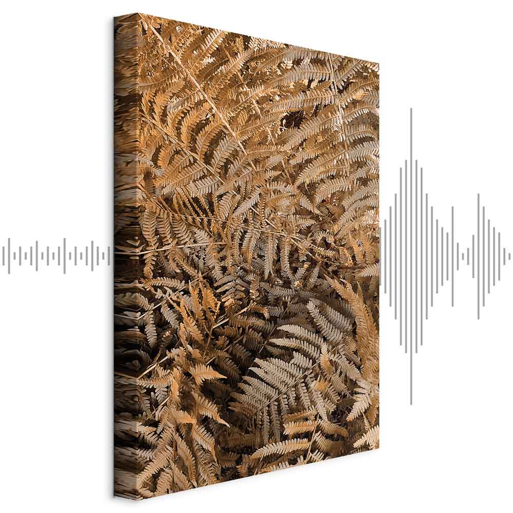 Mysterious Fern Nature Canvas Print