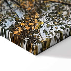 Autumn Forest Landscape Vertical Canvas Print