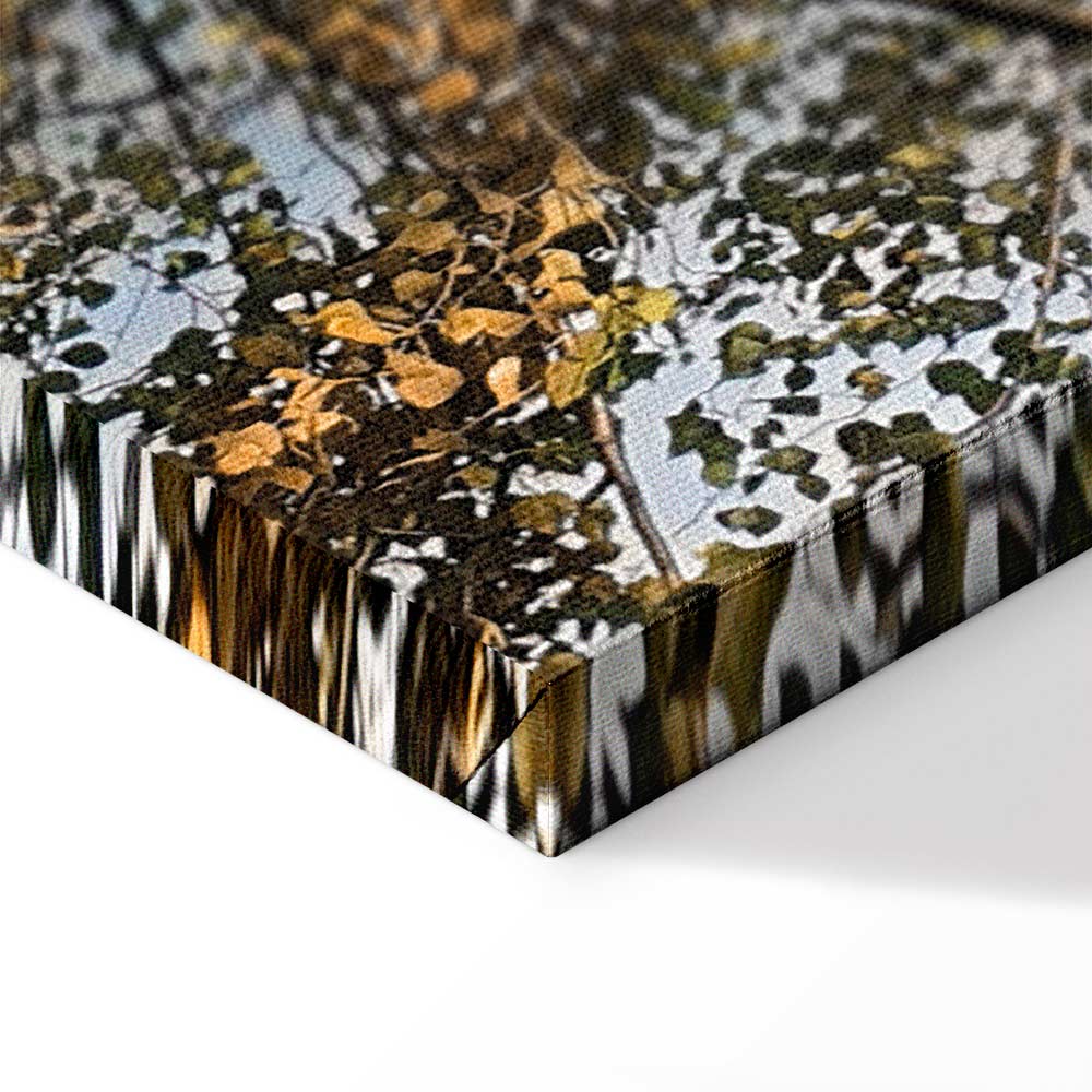 Autumn Forest Landscape Vertical Canvas Print