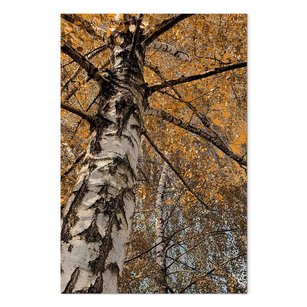 Autumn Forest Landscape Vertical Canvas Print