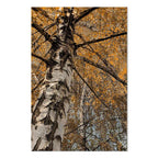 Autumn Forest Landscape Vertical Canvas Print
