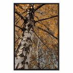 Autumn Forest Landscape Vertical Canvas Print