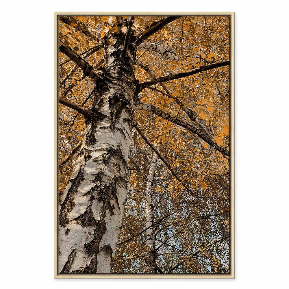 Autumn Forest Landscape Vertical Canvas Print