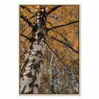 Autumn Forest Landscape Vertical Canvas Print