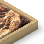 Golden Forest Cone Landscape Canvas Print