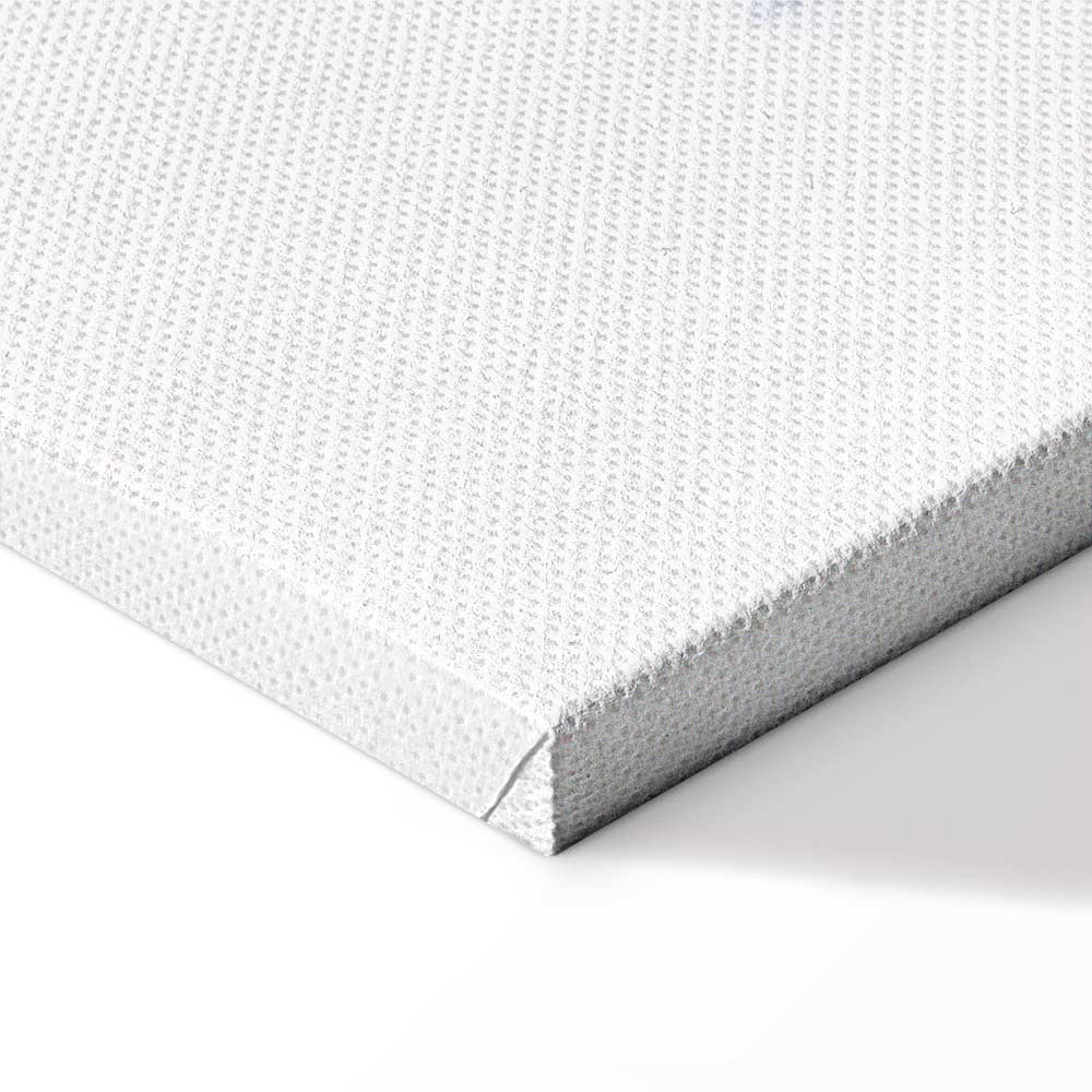 Magic Plant Leaves Nature Canvas Print