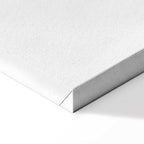 Magic Plant Leaves Nature Canvas Print