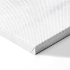 Winter Forest Landscape Canvas Print